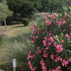 adriana-holiday-apartment.in-istria.net/